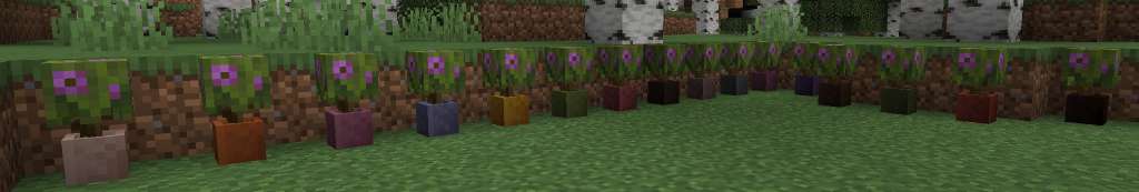 dyed_flower_pots.jpg